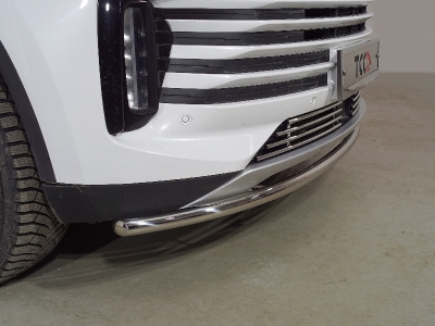 Защита передняя нижняя 42,4 мм ТСС для Exeed TXL 1.6L Turbo 4WD 2021 – н.в.