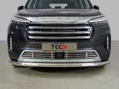 Защита передняя нижняя (с ДХО) 60,3 мм ТСС для Exeed VX 2.0L 4WD 2021 – н.в.