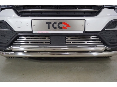 Решетка радиатора 12 мм 4 шт ТСС для GAC GS8 2019-2021