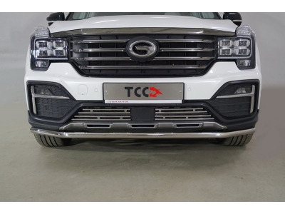 Защита передняя нижняя 42,4 мм ТСС для GAC GS8 2019-2021