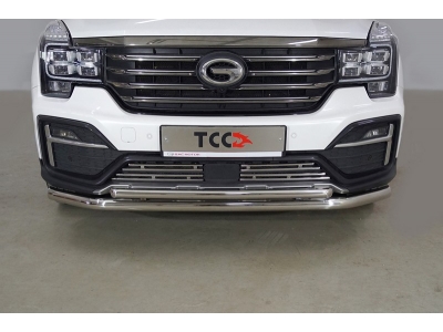 Защита передняя нижняя (двойная) 60,3/42,4 мм ТСС для GAC GS8 2019-2021