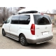 Пороги лист d-53 Технотек для Hyundai H-1 Starex 2017 – н.в.