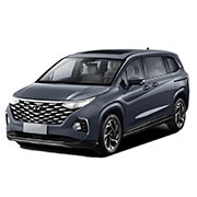 Hyundai Custo