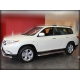 Пороги с листом d-53 для Toyota Highlander 2010-2013