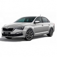 Защита картера Skoda Rapid 2020-2021