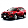Пороги для Toyota RAV4 2019-2021