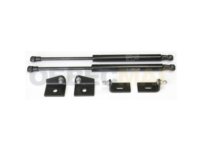 Упоры капота Автоупор 2 штуки для Citroen C4 2011-2021