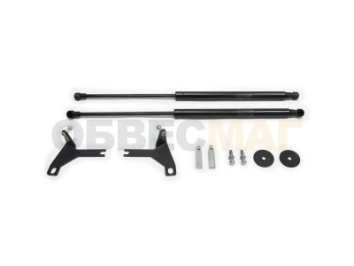 Упоры капота Автоупор 2 штуки для Ford Focus 2 2005-2008