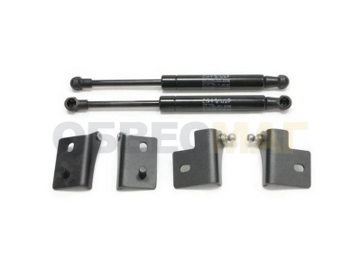 Упоры капота Автоупор 2 штуки для Ford Focus 3 2011-2021