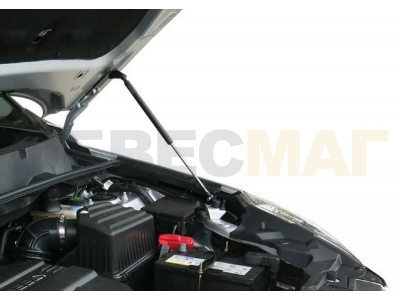Упоры капота Автоупор 2 штуки для Haval H6 2014-2021
