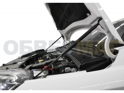 Упоры капота Автоупор 2 штуки для Lada XRay 2016-2021
