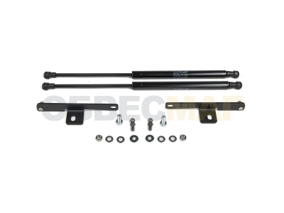 Упоры капота Автоупор 2 штуки для Mitsubishi Pajero Sport/L200 2015-2019