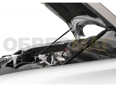 Упоры капота Автоупор 2 штуки для Mitsubishi Outlander 2012-2021