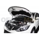 Упоры капота Автоупор 2 штуки для Nissan Qashqai 2014-2015