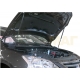 Упоры капота Автоупор 2 штуки для Nissan Sentra 2012-2017
