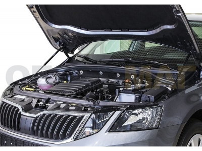 Упоры капота Автоупор 2 штуки для Skoda Octavia A7 2013-2020