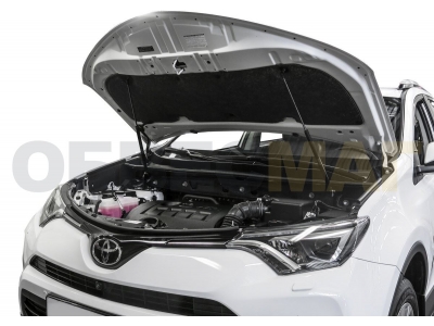Упоры капота Автоупор 2 штуки для Toyota RAV4 2013-2019