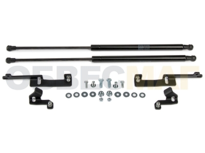 Упор капота Автоупор 2 шт для Toyota RAV4 2005-2010