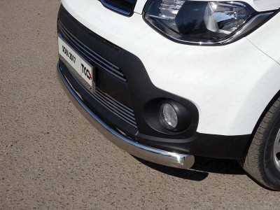 Защита передняя овальная 75х42 мм ТСС для Kia Soul 2016-2021