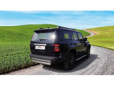 Защита задняя (центральная) 75х42 мм для Toyota Land Cruiser 250 Prado 2024-н.в.
