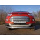 Рамка номерного знака Ford EcoSport (комплект) ТСС для Любые