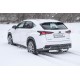 Фаркоп с нержавеющей накладкой для Lexus NX 2014-2021 съемное крепление шара под американский квадрат