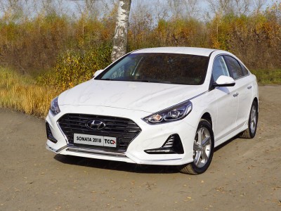 Накладка решётки радиатора нижняя 12 мм для Hyundai Sonata 2017-2019