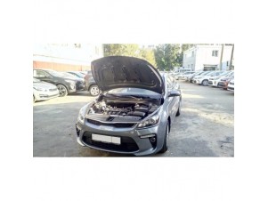 Упоры-амортизаторы капота 2 штуки Kia Rio № KU-KI-RI04-00