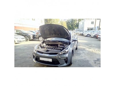 Упоры-амортизаторы капота 2 штуки для Kia Rio KU-KI-RI04-00