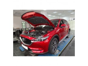Упоры-амортизаторы капота 2 штуки Mazda CX-5 № KU-MZ-CX05-02