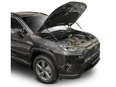 Амортизаторы капота Автоупор, 2 шт. для Toyota RAV4 2019-2021