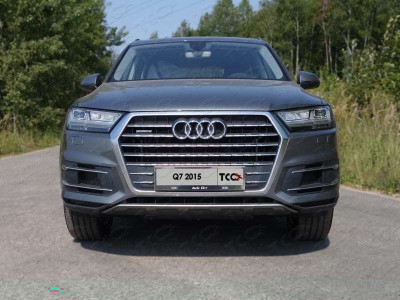 Рамка номерного знака Audi Q7 (комплект) ТСС для Любые