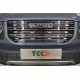 Решетка радиатора 12 мм ТСС для Haval Dargo 2.0 2022 – н.в.