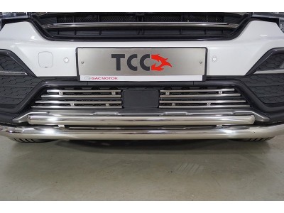 Решетка радиатора 12 мм 4 шт ТСС для GAC GS8 2019-2021