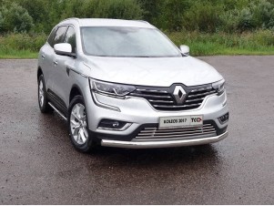 Защита передняя овальная 75х42 мм для Renault Koleos № RENKOL17-42