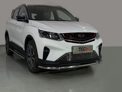 Защита переднего бампера 42 мм ТСС для Geely Coolray 2019-2021