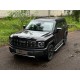 Пороги алюминиевые с пластиковой накладкой (карбон серебро) 1720 мм для Haval H3 1.5 2WD 2024-н.в.