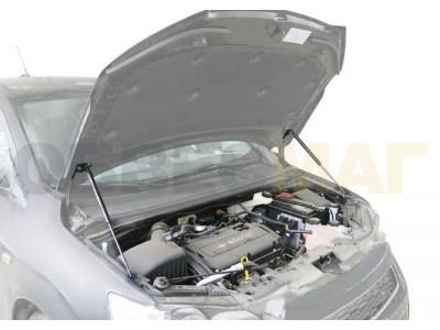 Упоры капота Автоупор 2 штуки для Chevrolet Aveo T300 2012-2015