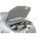 Упоры капота Автоупор 2 штуки для Chevrolet Aveo T300 2012-2015