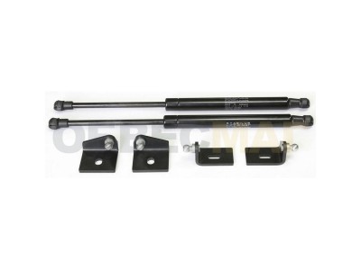 Упоры капота Автоупор 2 штуки для Citroen C4 2011-2021