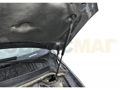 Упоры капота Автоупор 2 штуки для Ford Focus 2 2005-2008