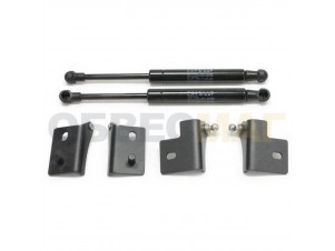 Упоры капота Автоупор 2 штуки для Ford Focus 3 № UFDFOC021