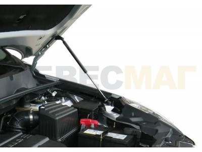 Упоры капота Автоупор 2 штуки для Haval H6 2014-2021