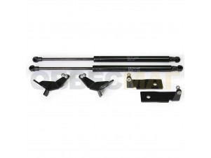 Упоры капота Автоупор 2 штуки для Isuzu D-MAX № UISDMA011