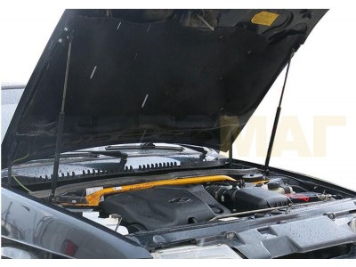 Упоры капота Автоупор 2 штуки для ВАЗ 2114 2003-2014