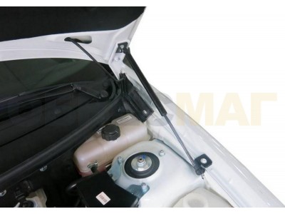 Упоры капота Автоупор 2 штуки для Lada Priora 2007-2018