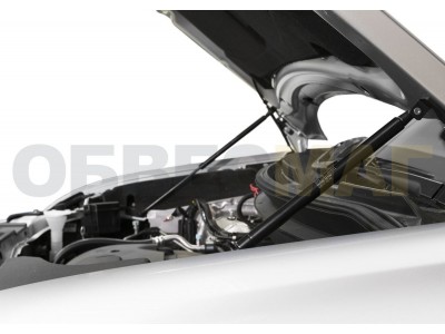 Упоры капота Автоупор 2 штуки для Mitsubishi Outlander 2012-2021