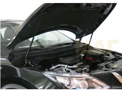 Упоры капота Автоупор 2 штуки для Nissan Qashqai 2007-2014