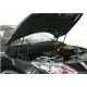 Упоры капота Автоупор 2 штуки для Nissan Qashqai 2007-2014