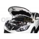 Упоры капота Автоупор 2 штуки для Nissan Qashqai 2014-2015